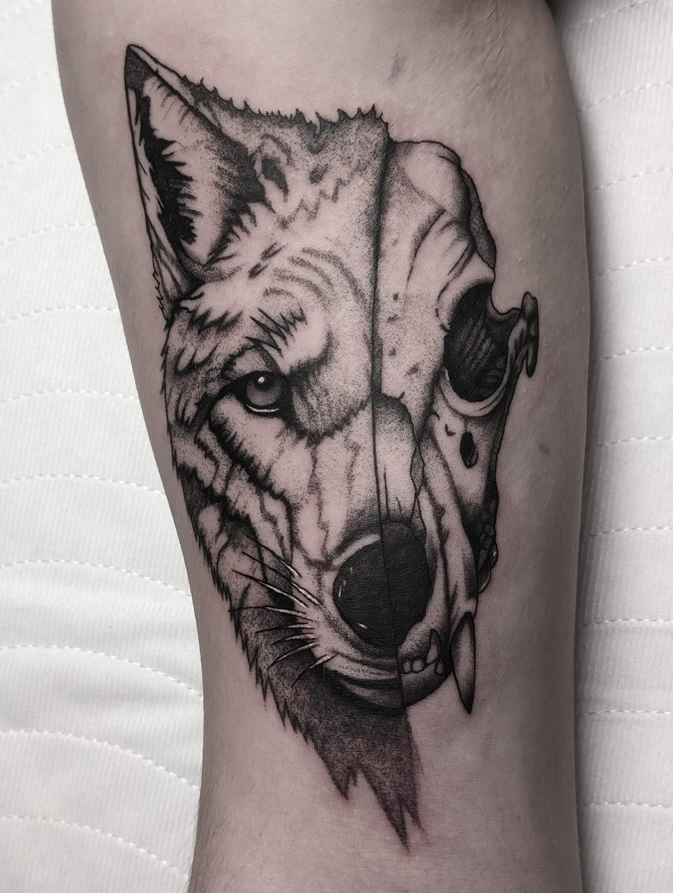 Tattoo eines Wolfes halb lebendig, halb Totenschädel – Dualität von Leben und Tod. Realistisches Tier-Tattoo aus Menden, Unna, Wickede, Iserlohn, Werl.