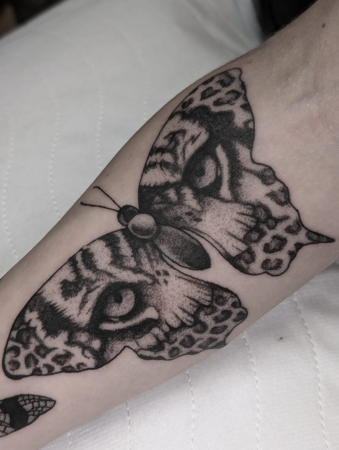 Tattoo eines großen Schmetterlings mit Augen und Leopardenmuster – surrealer Stil. Tattoo Artist in Menden, Unna, Wickede, Iserlohn, Werl.