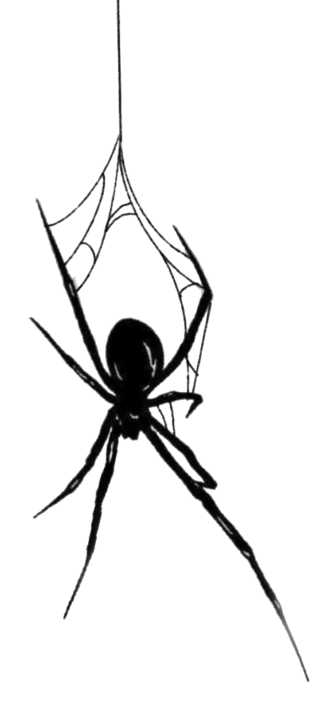 Spider tattoo ideas